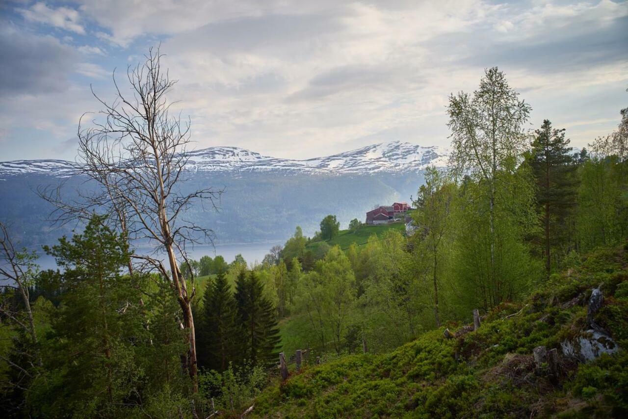 Panorama View Along The Fjord In Stryn Villa Blakset Ngoại thất bức ảnh